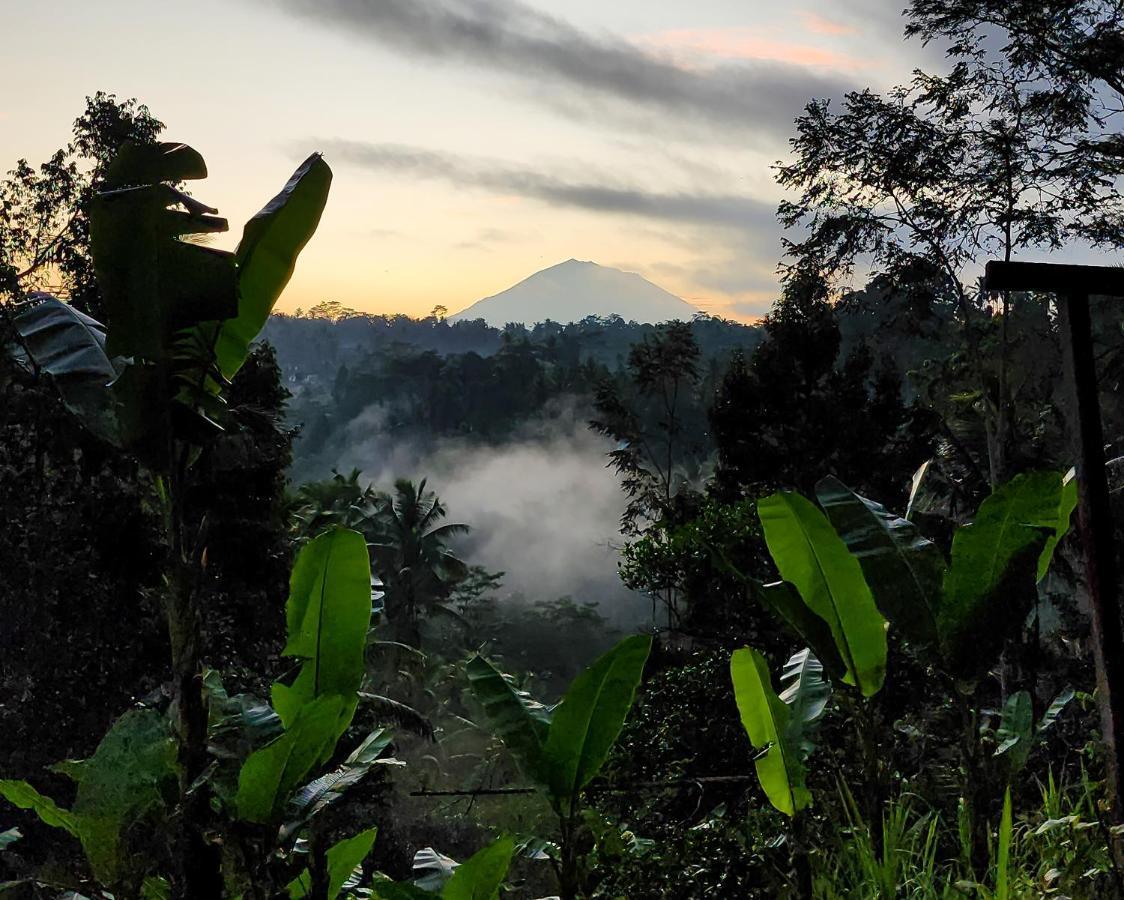 Delta Casa Ubud-Jungle Villas With Volcano View Паянган Экстерьер фото