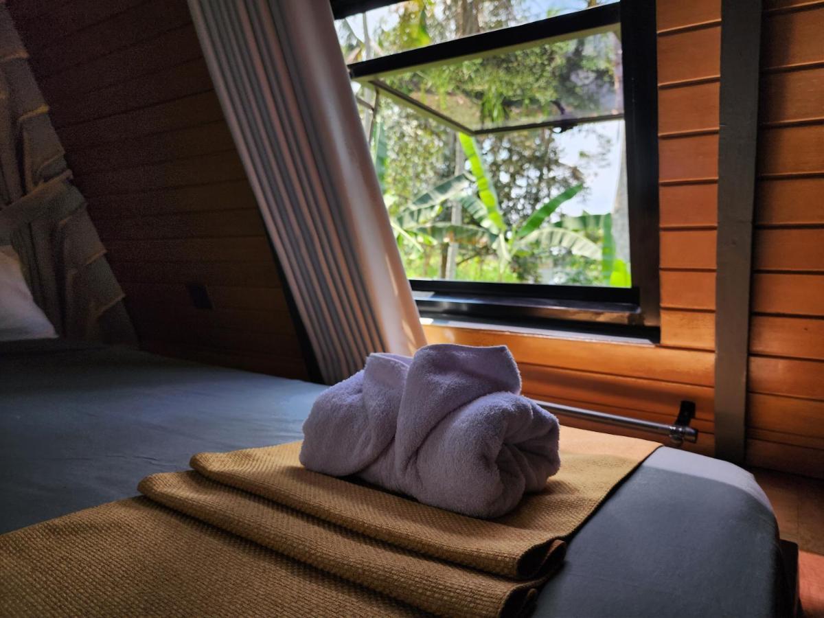 Delta Casa Ubud-Jungle Villas With Volcano View Паянган Экстерьер фото