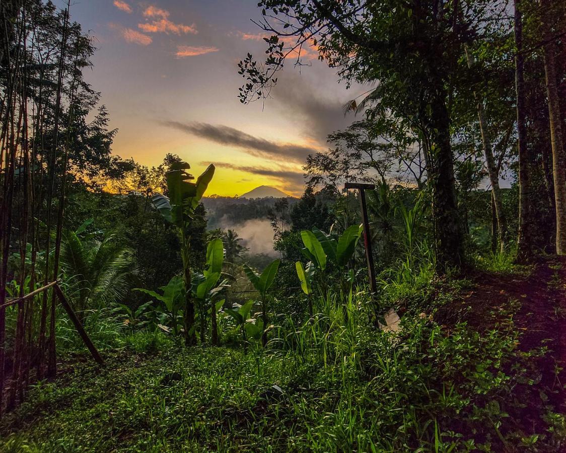 Delta Casa Ubud-Cozy Tropical Villas With Volcano View Паянган Экстерьер фото