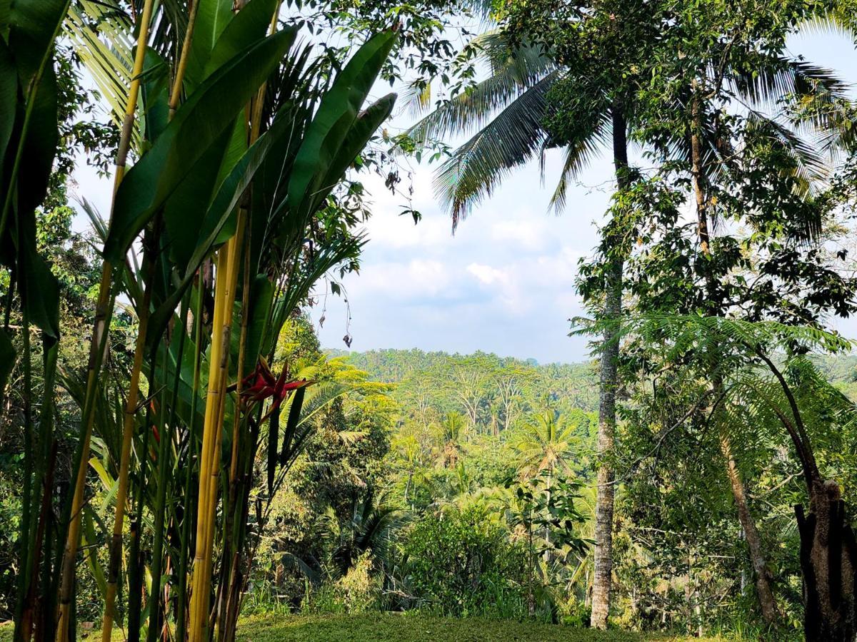 Delta Casa Ubud-Cozy Tropical Villas With Volcano View Паянган Экстерьер фото