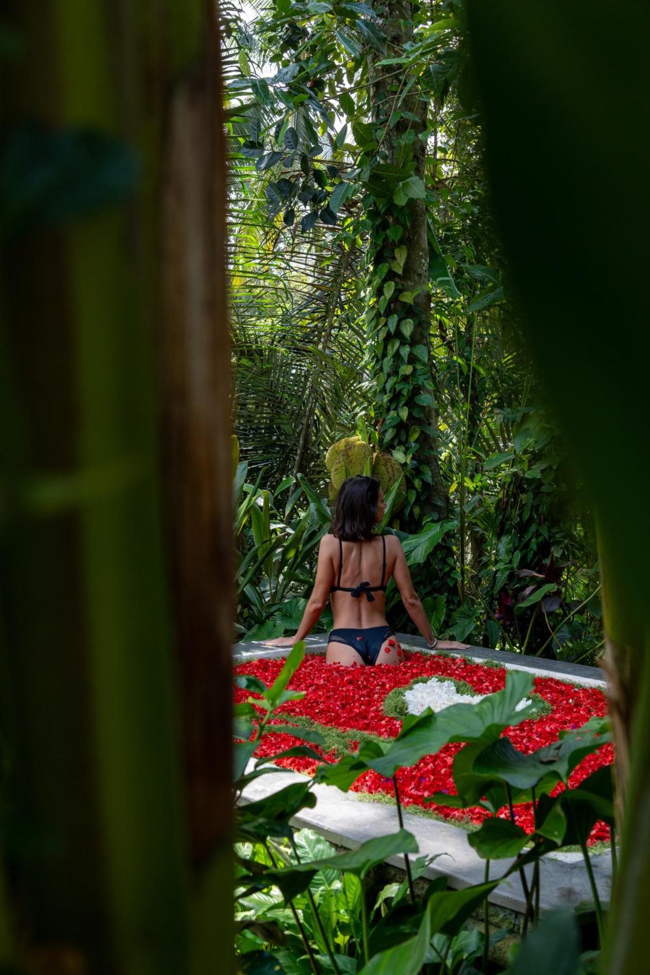 Delta Casa Ubud-Jungle Villas With Volcano View Паянган Экстерьер фото