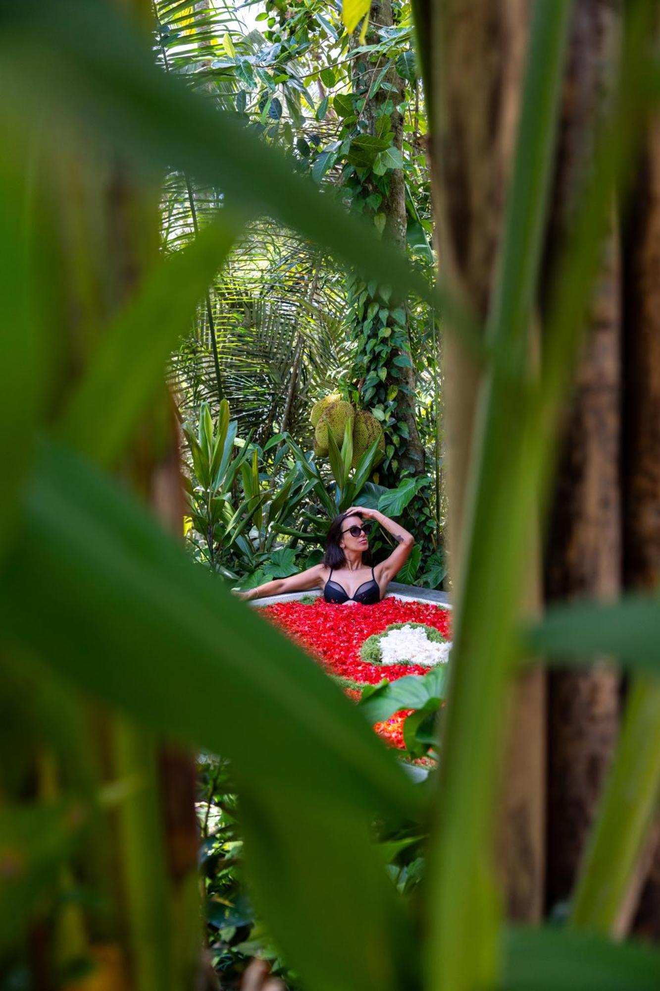 Delta Casa Ubud-Jungle Villas With Volcano View Паянган Экстерьер фото