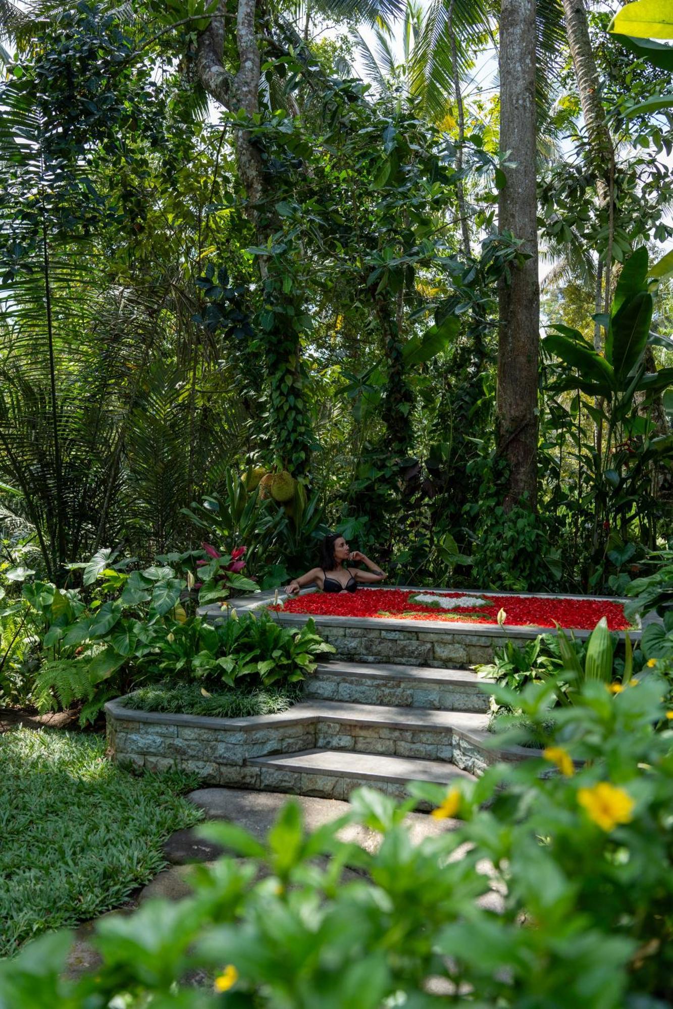 Delta Casa Ubud-Jungle Villas With Volcano View Паянган Экстерьер фото